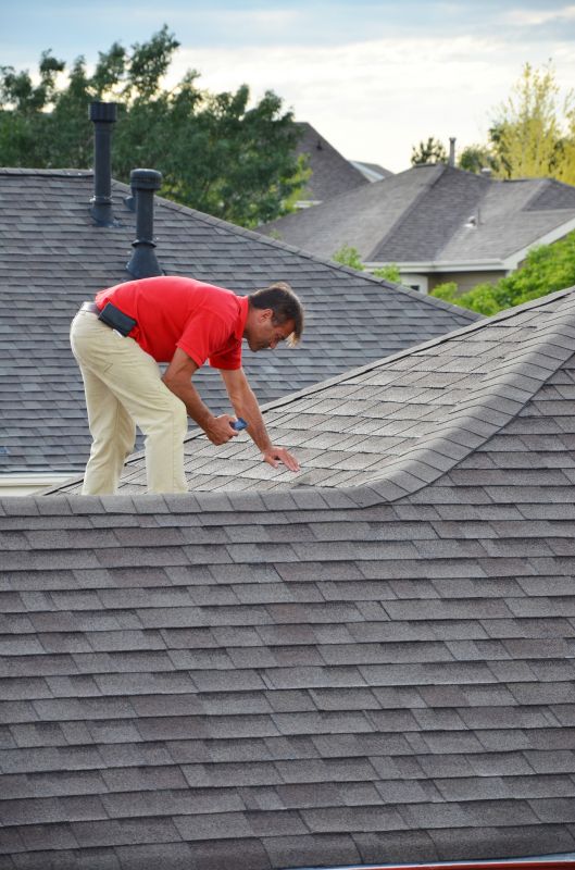 Professional Roof Assessment